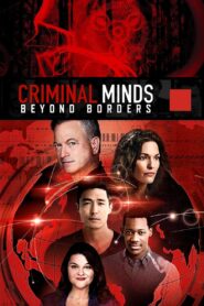 Criminal Minds: Beyond Borders 2016 on netflix