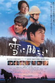 What the Snow Brings 2005 on netflix