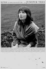 The Juniper Tree 1990 on netflix