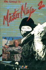 Master Ninja II 1984 on netflix