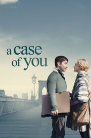 A Case of You 2013 on netflix