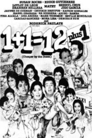 1 + 1 = 12 + 1 1987 on netflix