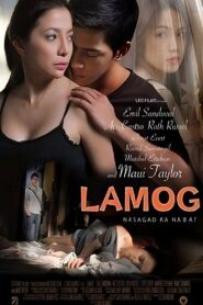 Lamog 2011 on netflix