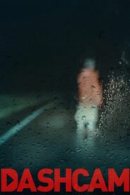 Dashcam 2022 on netflix