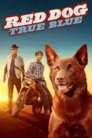 Red Dog: True Blue 2016 on netflix