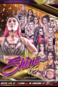 SHINE 65 2020 on netflix