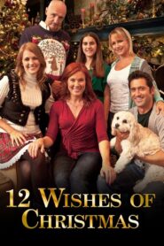 12 Wishes of Christmas 2011 on netflix