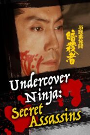 Undercover Ninja: Secret Assassins 1983 on netflix