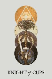 Knight of Cups 2015 on netflix