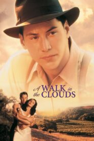 A Walk in the Clouds 1995 on netflix