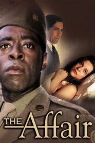 The Affair 1995 on netflix