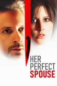 The Perfect Husband 2004 on netflix