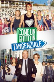 Like a Cat on a Highway 2017 on netflix