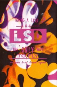 LSD a Go Go 2004 on netflix