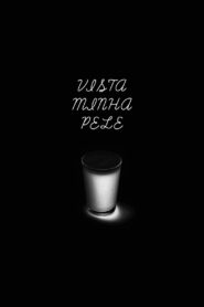 Vista Minha Pele 2008 on netflix