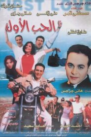 The First Love 2001 on netflix