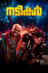 Nadikar 2024 on netflix