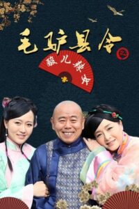 毛驴县令之酸儿辣女 2014 on netflix