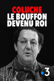 Coluche : le bouffon devenu roi 2016 on netflix