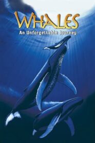 Whales: An Unforgettable Journey 1997 on netflix