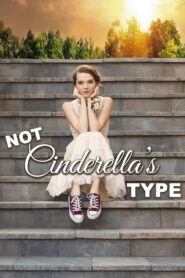 Not Cinderella’s Type 2018 on netflix