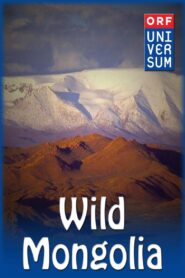 Wild Mongolia 2006 on netflix