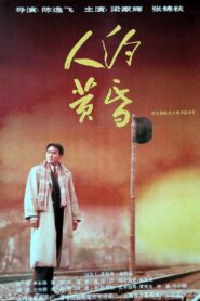 Evening Liaison 1995 on netflix