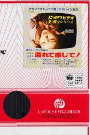 Rumi Sasaki and Yuka Takemura: Hotel Maid, Feel Wet! 1981 on netflix