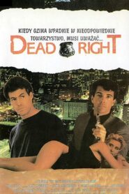 Dead Right 1990 on netflix