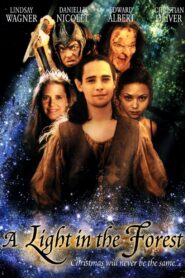 A Light in the Forest 2003 on netflix