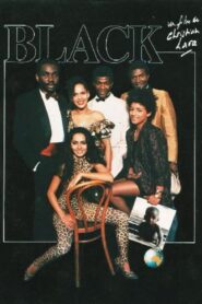 Black 1987 on netflix