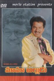 Mama Alludu 1990 on netflix