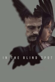 In the Blind Spot 2023 on netflix