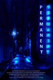 Permanent 2014 on netflix