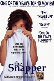The Snapper 1993 on netflix