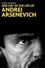 One Day in the Life of Andrei Arsenevich 1999 on netflix