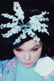 Björk – The Creative Universe of a Music Missionary 2015 on netflix