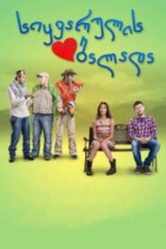 The Ballad of Love 2011 on netflix