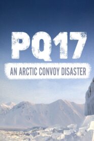 PQ17: An Arctic Convoy Disaster 2014 on netflix