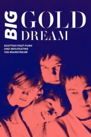 Big Gold Dream: Scottish Post-Punk and Infiltrating the Mainstream 2015 on netflix