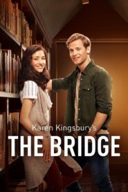 The Bridge 2015 on netflix