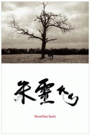 Vermilion Souls 2007 on netflix