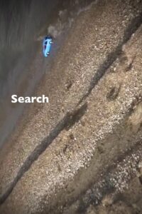 Search 2016 on netflix