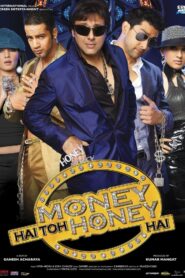 Money Hai Toh Honey Hai 2008 on netflix