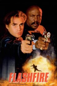 Flashfire 1994 on netflix