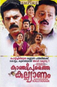 Kancheepurathe Kalyanam 2009 on netflix