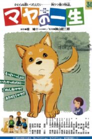 Maya no isshou 1996 on netflix