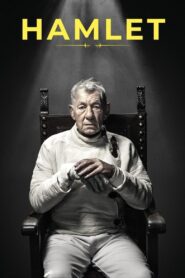Hamlet 2024 on netflix