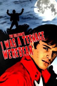 I Was a Teenage Werebear 2011 on netflix