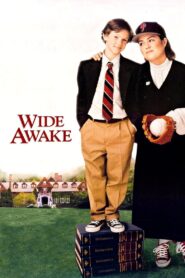 Wide Awake 1998 on netflix